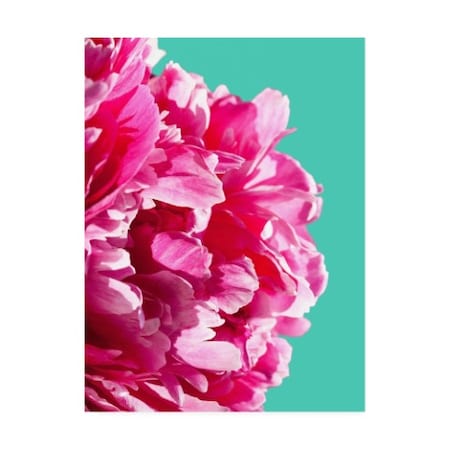 Lexie Green 'Pink Peony On Teal' Canvas Art,24x32